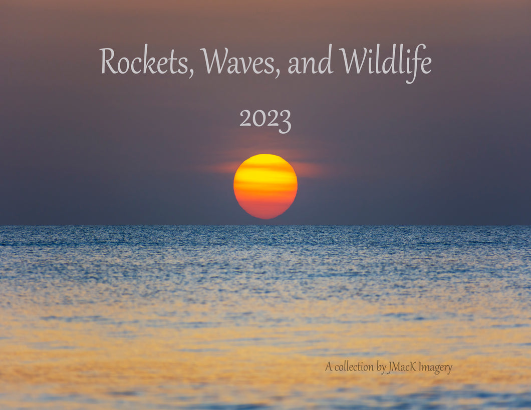 2023 Rockets, Waves & Wildlife Calendar