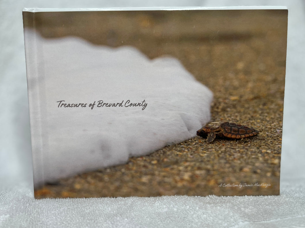 Treasures of Brevard Photo Book